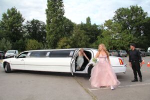 Img 0850